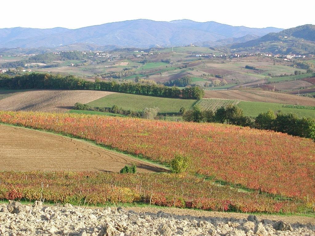 Villaromagnano Villa Dei Romaniani מראה חיצוני תמונה