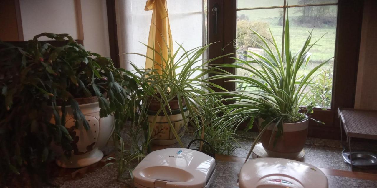 Villaromagnano Villa Dei Romaniani מראה חיצוני תמונה